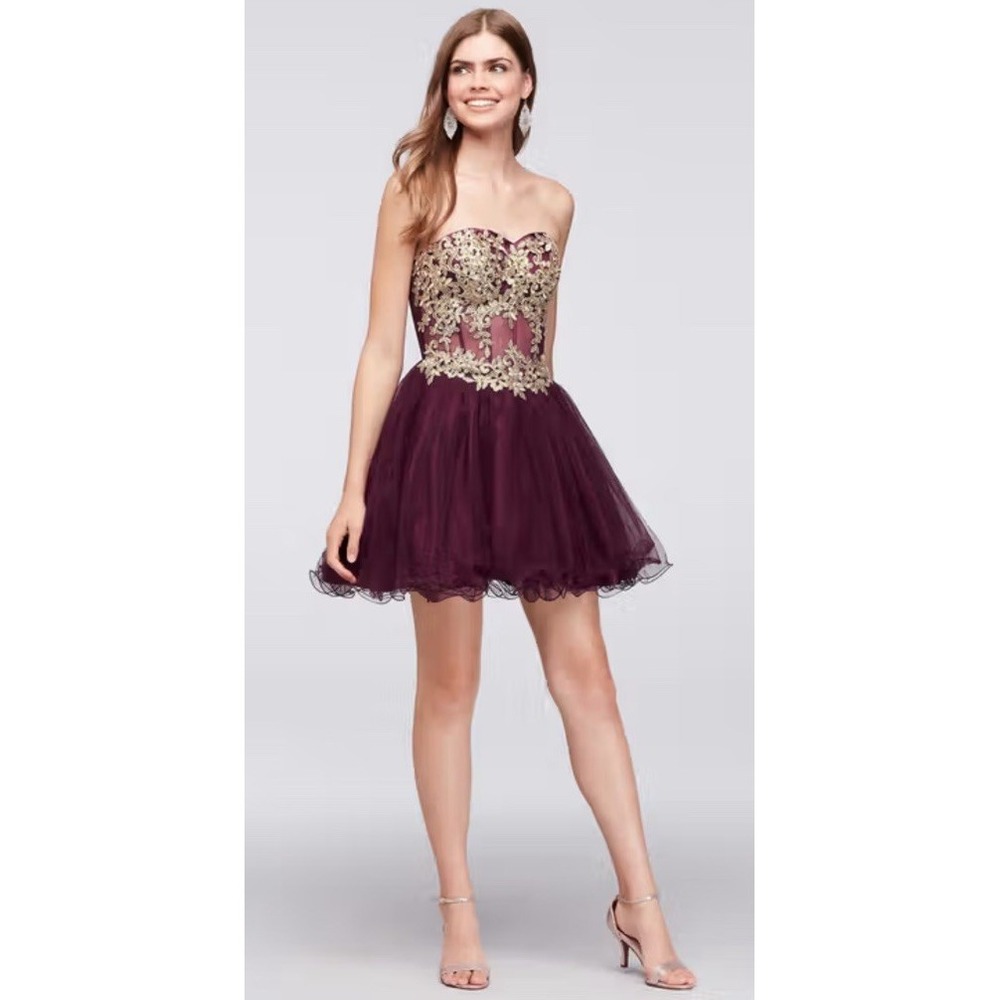 BLONDIE NITES Party Dress with Embroidered Illusion Corset Burgundy Size 3